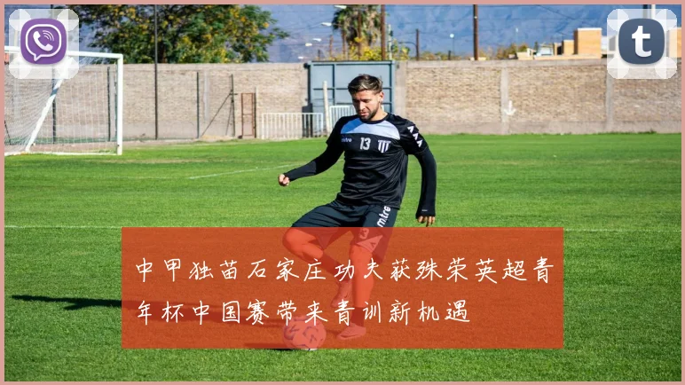 中甲独苗石家庄功夫获殊荣英超青年杯中国赛带来青训新机遇