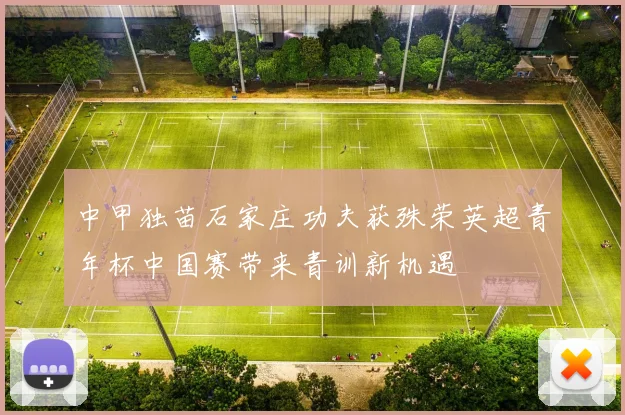 中甲独苗石家庄功夫获殊荣英超青年杯中国赛带来青训新机遇