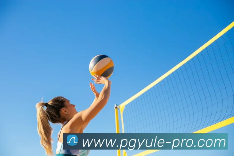 App Interface Preview